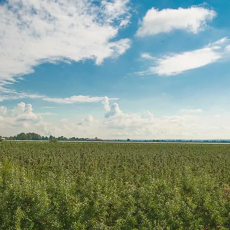 Appartement Herta Kruse Jork