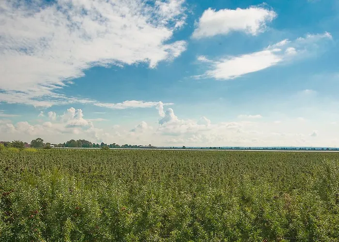 公寓 Herta Kruse 约克